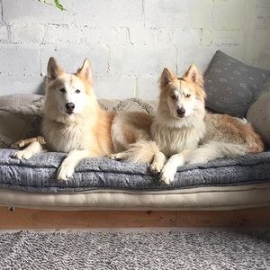 Meet your Posher, Candy